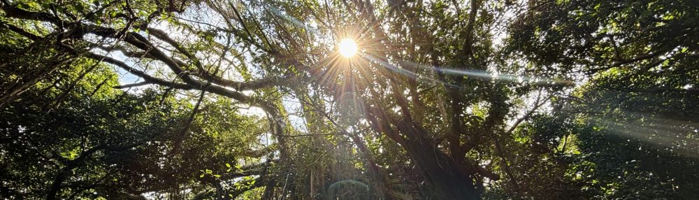 24時間ジョイフルライフ♪